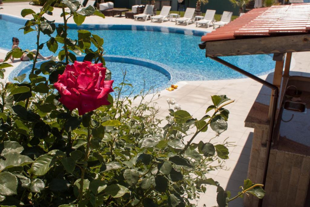 Апарт готель Gardenia Vacation Settlement Созополь Екстер'єр фото